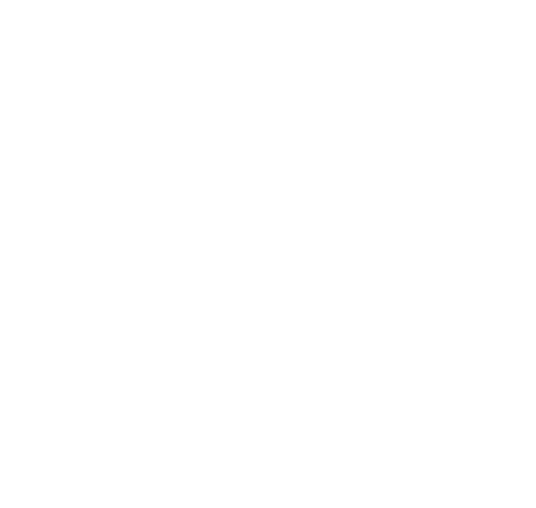 The Framer book